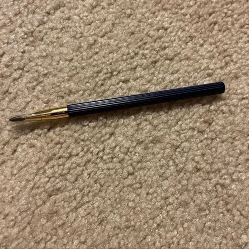 BRAND NEW 15 Lip brushes‎